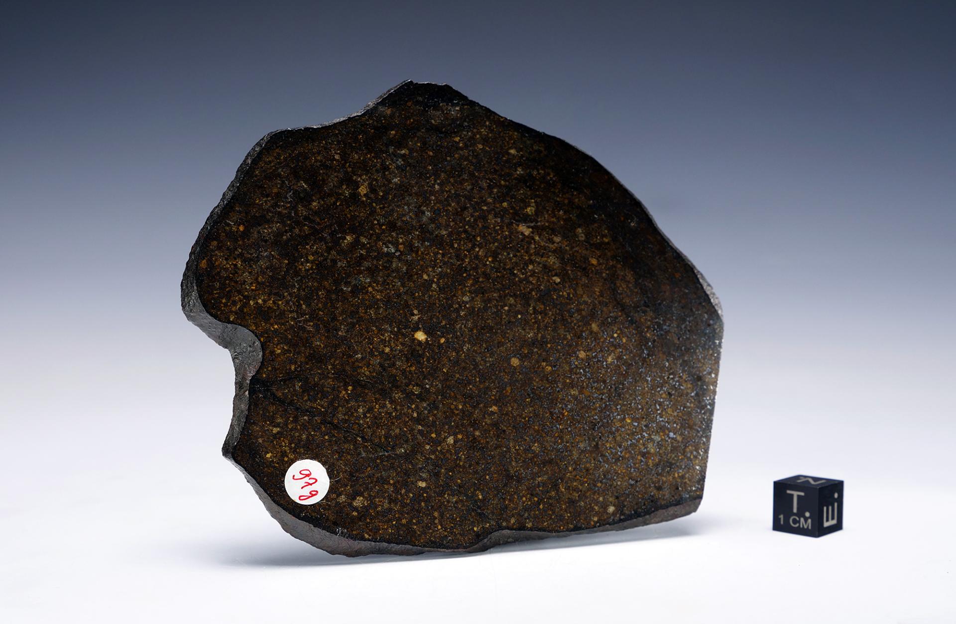 ART&MET Meteorites Collection - Zapraszamy do podróżowania razem z nami po kosmicznym świecie meteorytów, który jest niezwykły, fascynujący i pełen przygód.