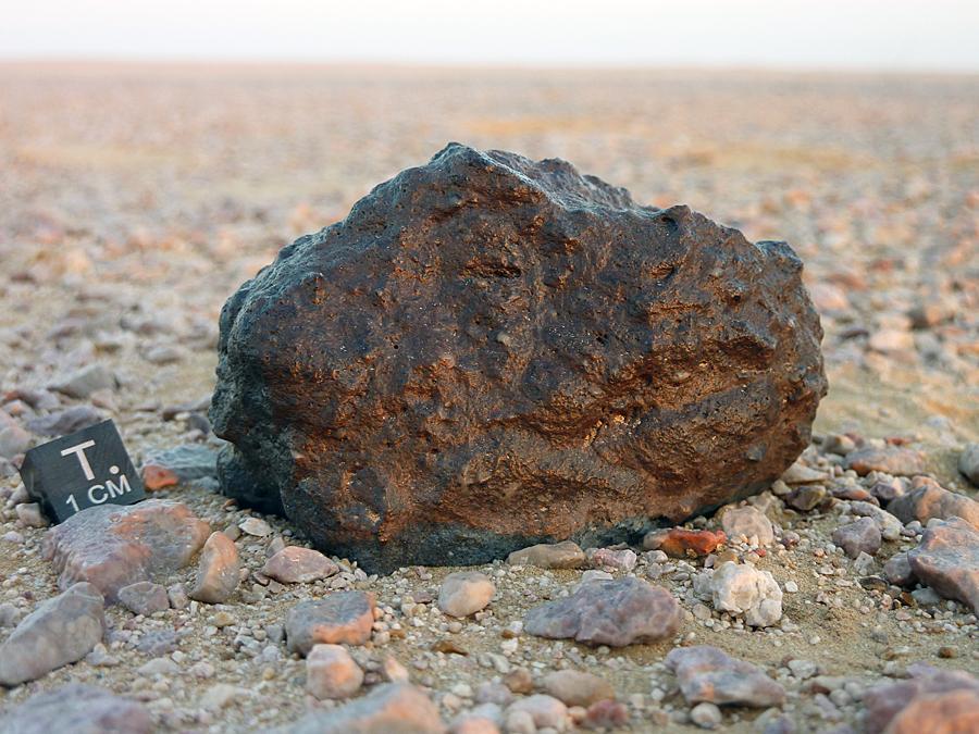 Lunar meteorite 292g - Dhofar 1766 In-situ